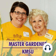 Fall Flowers And Leaves With Master Gardeners