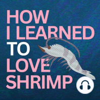 Introducing: How I Learned to Love Shrimp