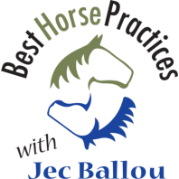 Jenn Currie: Brain Centered Horsemanship