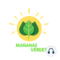 ☘️Nodo Santa Marta Red Nacional Jóvenes de Ambiente.?