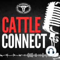 What is the Cattle Connect Podcast— And Why?