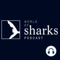 How can art help shark conservation? With Rachel Brooks