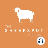 Episode 28: Why rare sheep breeds matter
