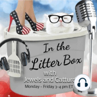 The Storms Continue - In the Litter Box w/ Jewels & Catturd - Ep. 403 - 8/31/2023