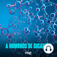 A hombros de gigantes - Los extraordinarios biofilms bacterianos - 27/01/24