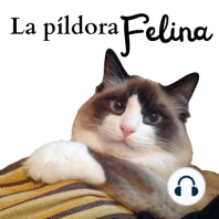 45. El Podcast Felino