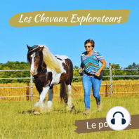 2 - Comment le cheval apprend ?