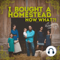 Are you a homestead hostage?