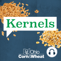 Ep 053: How Corn Moves