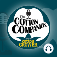 Episode 35 – USDA Tamps Down U.S. Cotton Production Estimates