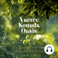 A Powerful River Flowing, Relaxing Water Sounds & Birds Singing In A Lush Forest | Relaxing Nature Sounds For Sleep, Meditation, Relaxation Or Focus |...