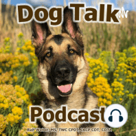 Episode 48: Should You Buy or Rescue a Dog?