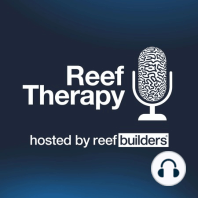 Walt Smith Joins Reef Therapy to Talk About Fiji Reopening Coral Export