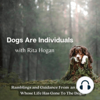 Exploring the Use of Adaptogens for Canine Health | Shorts