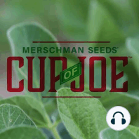 A Discussion on the Latest Dicamba Label News