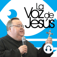 ¿ Quién soy para Dios ? - Su amado : 11 de Febrero 2024 #240211