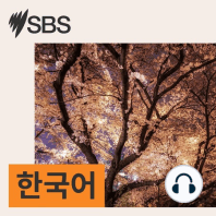SBS 한국어 아침 뉴스: 2024년 2월 13일 화요일