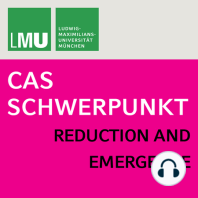 Reductionism in Economics: Causality and Intentionality in the Microfoundations of Macroeconomics