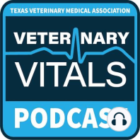 Founding Texas Tech University School of Veterinary Medicine with Dean Guy Loneragan, DVM