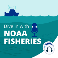 Welcome to Dive In with NOAA Fisheries