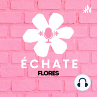 EP.12 Tener certeza absoluta en el proceso | podcast en español | échate flores