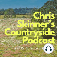 Episode 25: Chris Skinner Loves Yew