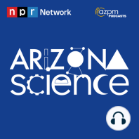 Episode 402: Finding twists in tree ring research