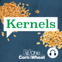 Ep 057: What's the Secret to High Yields?