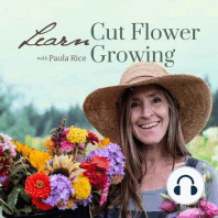 004: My First Three Secrets for Successfully Growing Cut Flowers