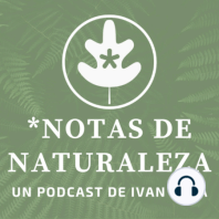 Grabación de sonidos de naturaleza. Charla con Javi García. 1a Parte #57