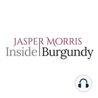 GuildSomm - Jasper Morris on Burgundy