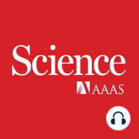 Science Podcast -  Canine origins, asexual bacterial adaptation, perovskite-based solar cells, and more (15 Nov 2013)