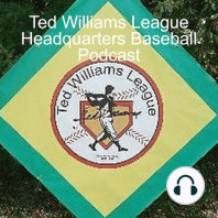 What would Ted Williams Think of Luis Arraez?  By Steve Ferroli