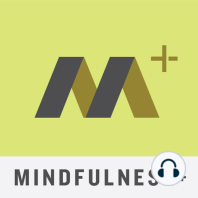 Episode 18: Medicalized Mindfulness: Caution: Side Effects