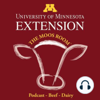 Episode 33 - Why and when to preg check - UMN Extension's The Moos Room