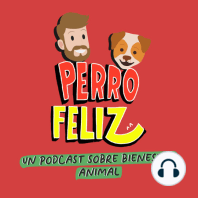 ¿Un perro sin correa es un perro feliz?