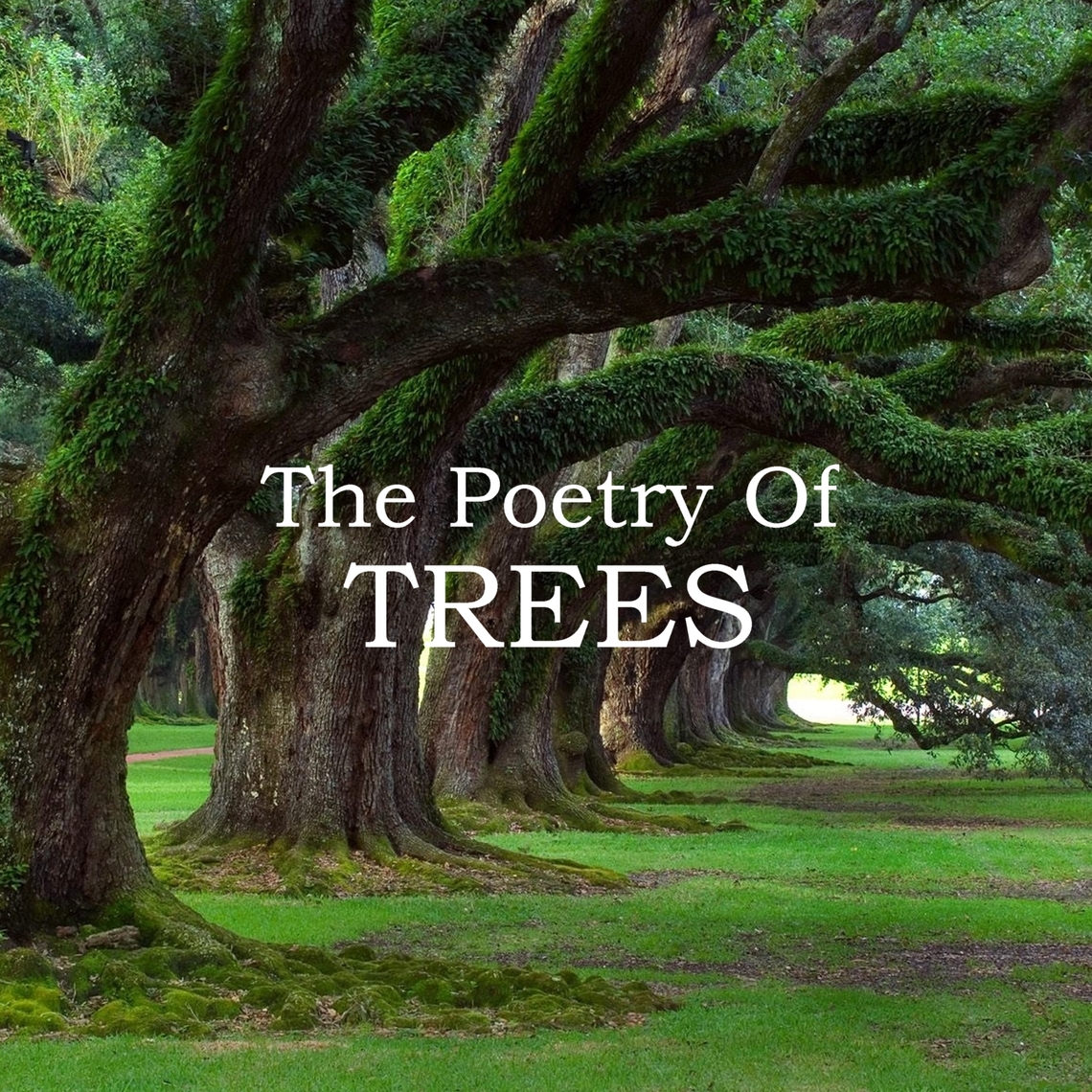 The Poetry Of Trees by Lord Alfred Tennyson, Paul Dunbar, John Keats (Audiobook) - Read free for 30 days