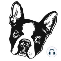Episode 18: Boston Terrier Children's Book, Some Dogs Are Different Author Interview.
