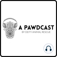 A Pawdcast Ep. 19 House of Horrors: The Story Begins