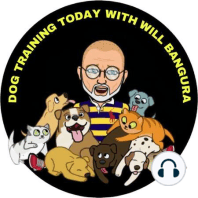 #151 How to Stop Puppy Biting: Dog Training Today will Will Bangura, CAB-ICB, CBCC-KA, CPDT-KA, FFCP