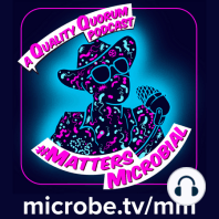 Matters Microbial #32: What's bugging ants, microbially speaking?