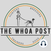 7: English Setters with Scott Berg, Berg Bros. Setters