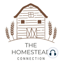 Homesteading Q & A Part 1