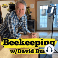 Beekeeping: How To Reduce Bee Stings