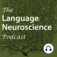 Developmental language disorder and its neural basis with Dorothy Bishop
