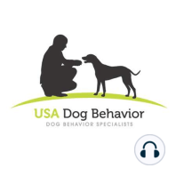 What Are My Options if I Own a Dog Who Is Aggressive to Humans?