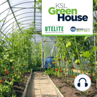 KSL Greenhouse Extra Q&A Time