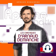 Demanche pirate le Face à Face : Michaël Zemmour - 09/04