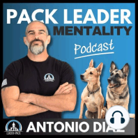 Ep 11: Drugging Dogs. The Overuse of Psychotropics For Behavior Modification