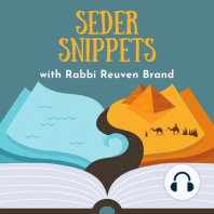 Seder: Order in Our Life